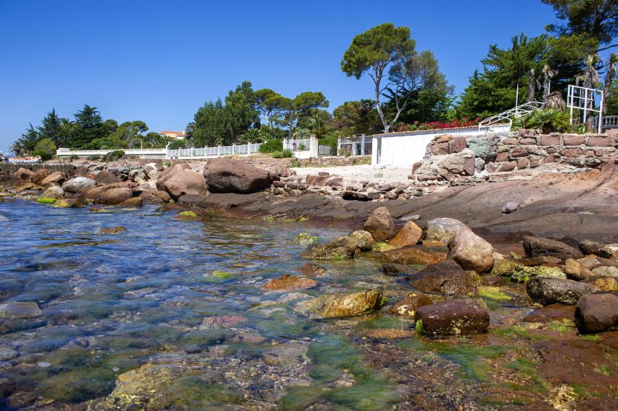 Résidence les Jardins d'Azur - Saint-Raphael - Summer outside