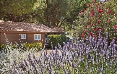 Résidence Shangri-la - Carnoux-en-Provence