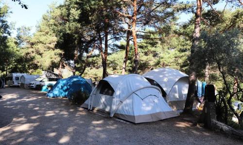 Campasun Camping Du Soleil **** - Esparron-de-Verdon - Extérieur été