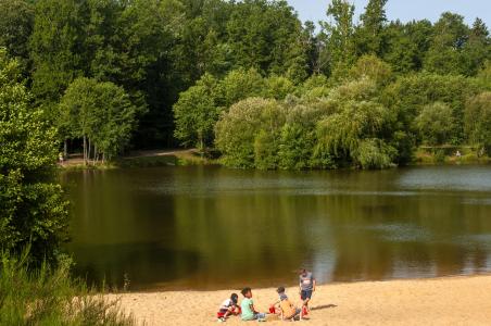 Le Domaine des Nouailles - Ile de Ré - Summer outside