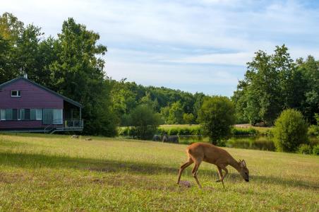 Le Domaine des Nouailles - Ile de Ré - Extérieur été