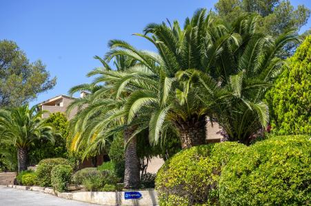 Résidence les Jardins d'Azur - Saint-Raphael - Inside