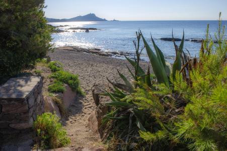 Résidence les Jardins d'Azur - Saint-Raphael - Extérieur été